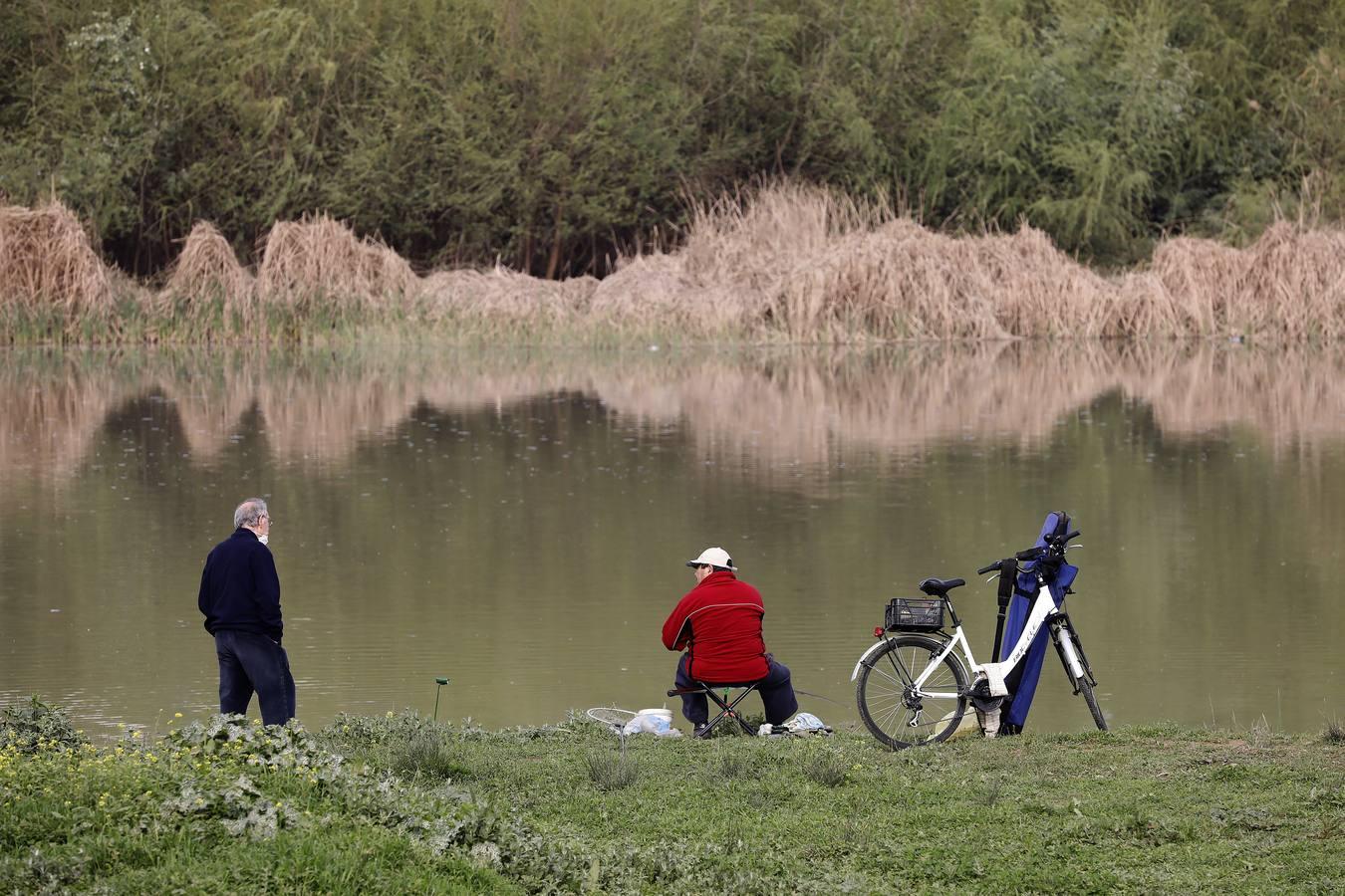 El río y sus proyectos pendientes en Córdoba, en imágenes