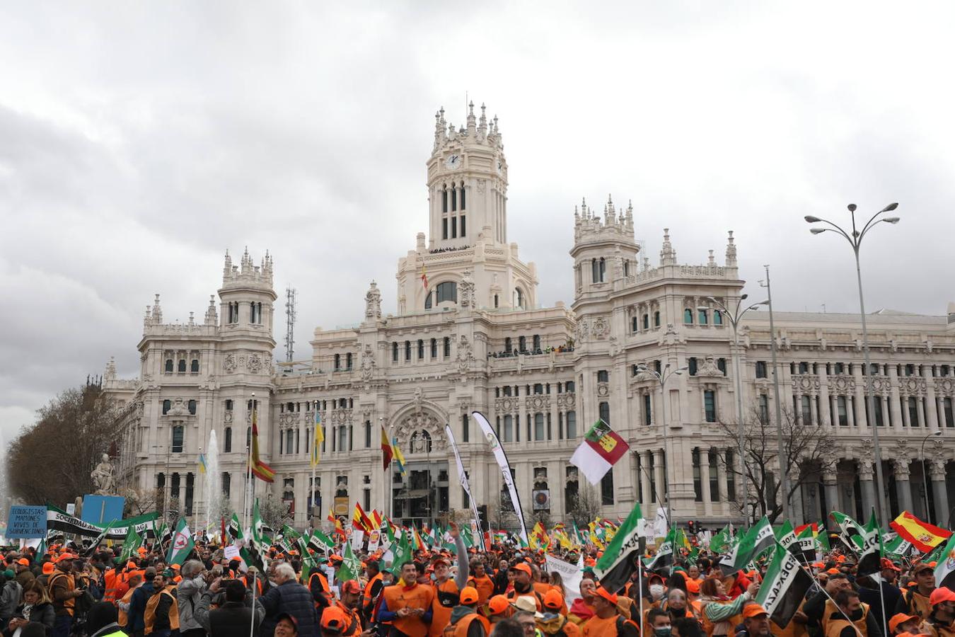 La concentración principal ha tenido lugar en la plaza de Cibeles de Madrid. 