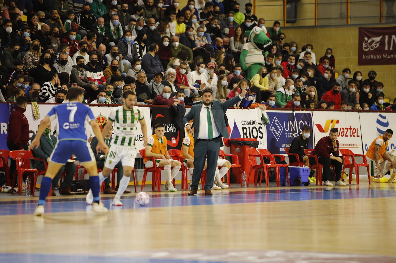 El Córdoba Patrimonio - Betis Futsal, en imágenes