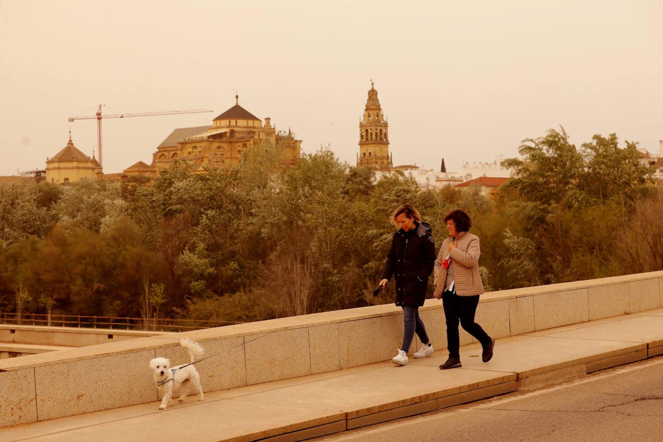 En imágenes, la estela de la calima regresa a Córdoba