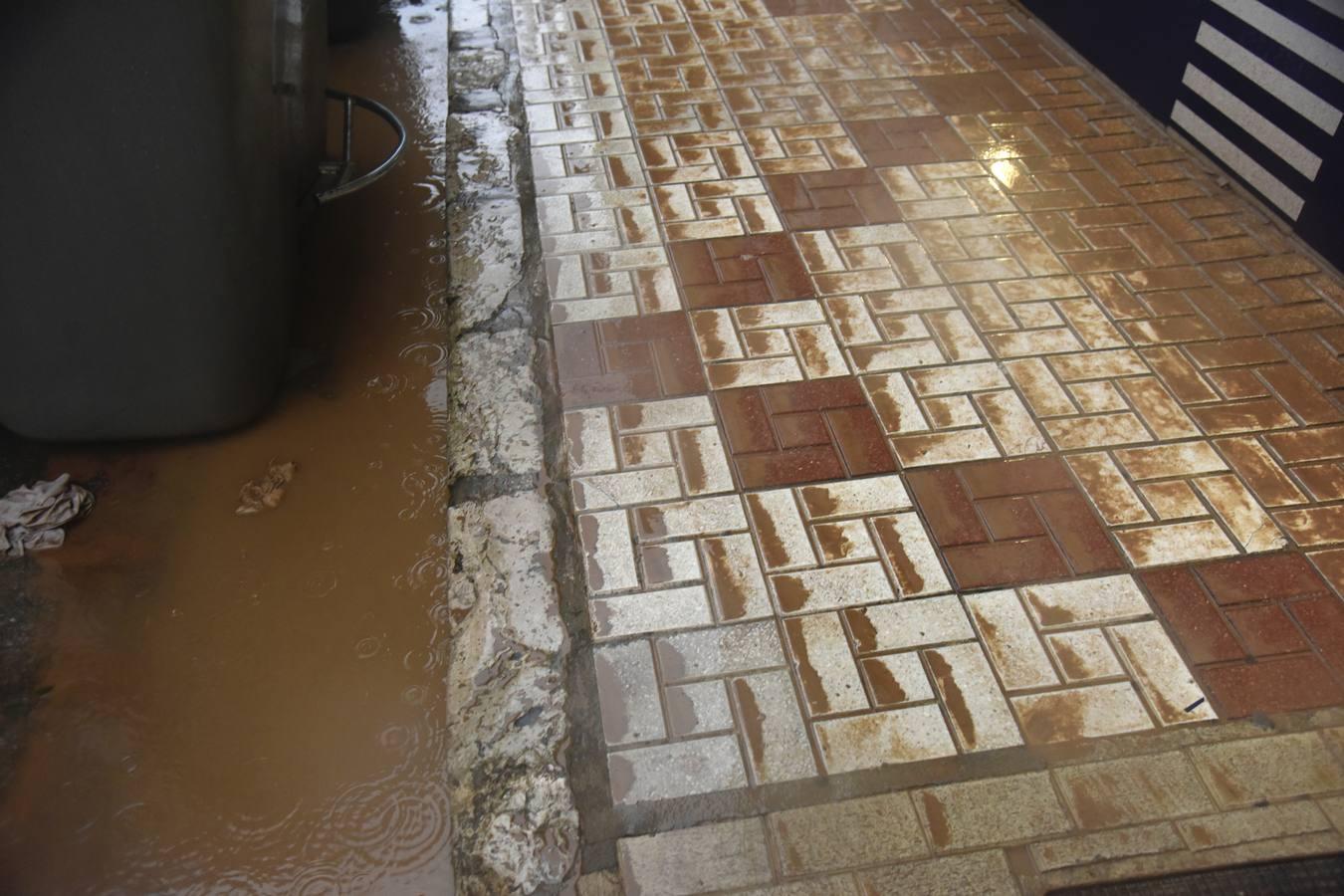 En imágenes, así ha quedado Málaga tras horas de lluvia de barro por la calima