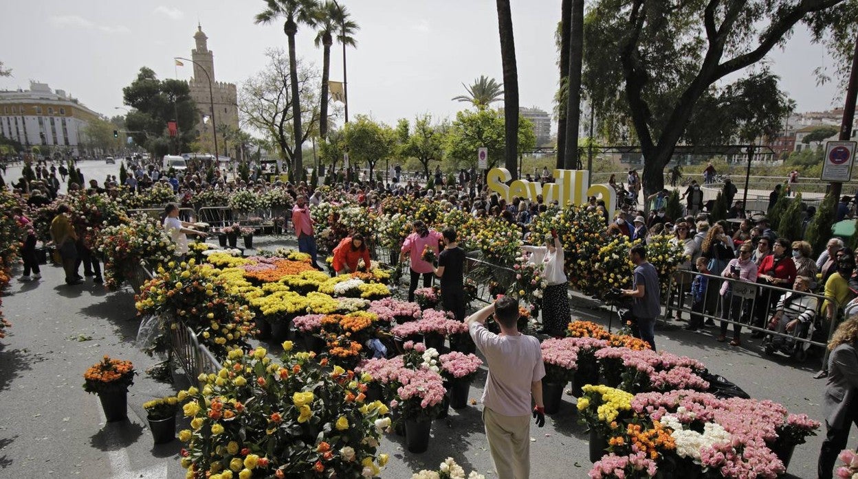 El Paseo Colón de Sevilla se convierte por un día en &#039;Calle Cultura&#039;