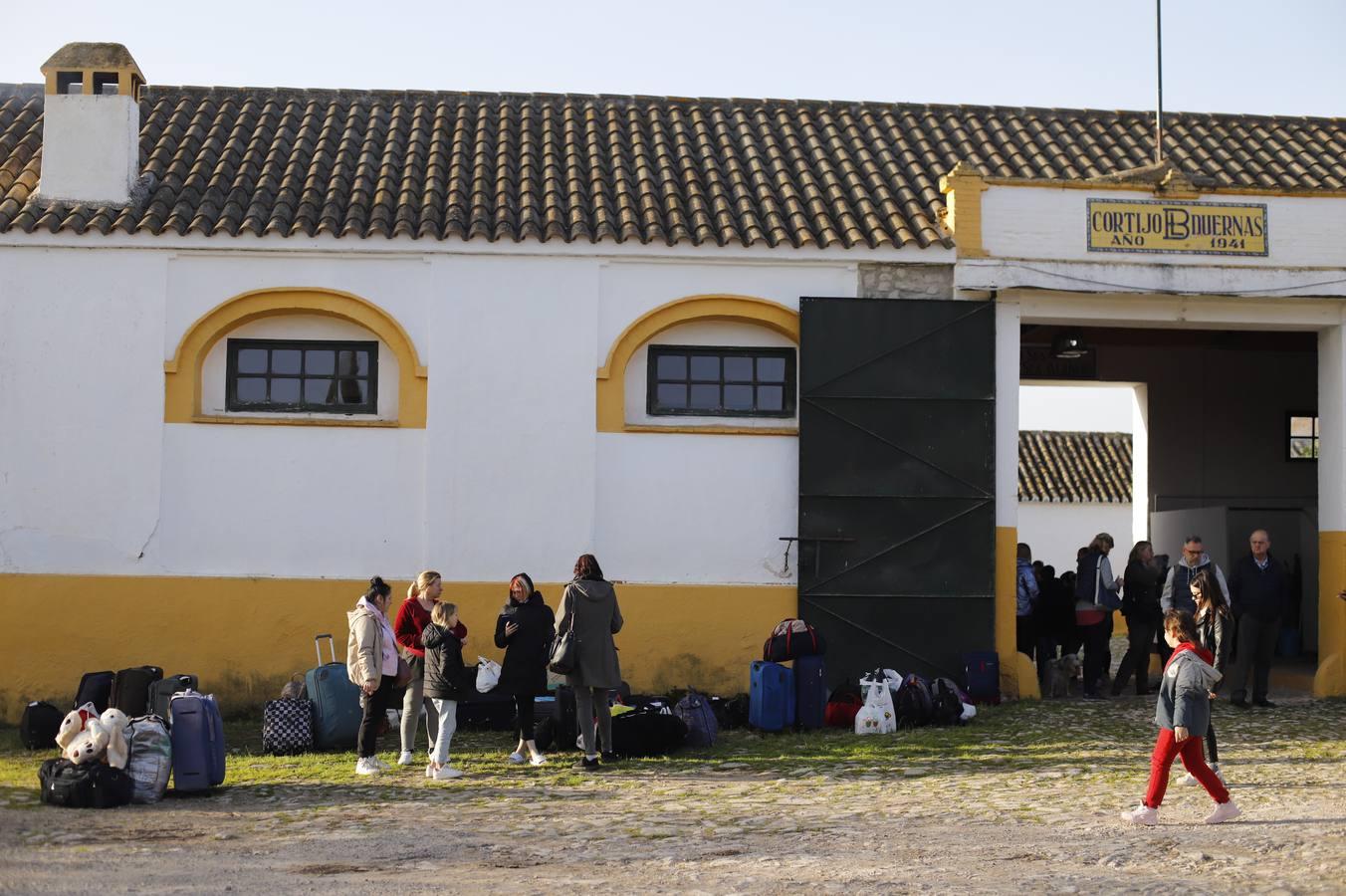 La llegada de refugiados de Ucrania a Córdoba, en imágenes