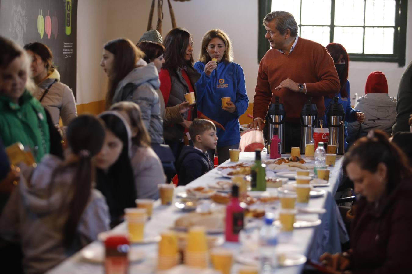 La llegada de refugiados de Ucrania a Córdoba, en imágenes