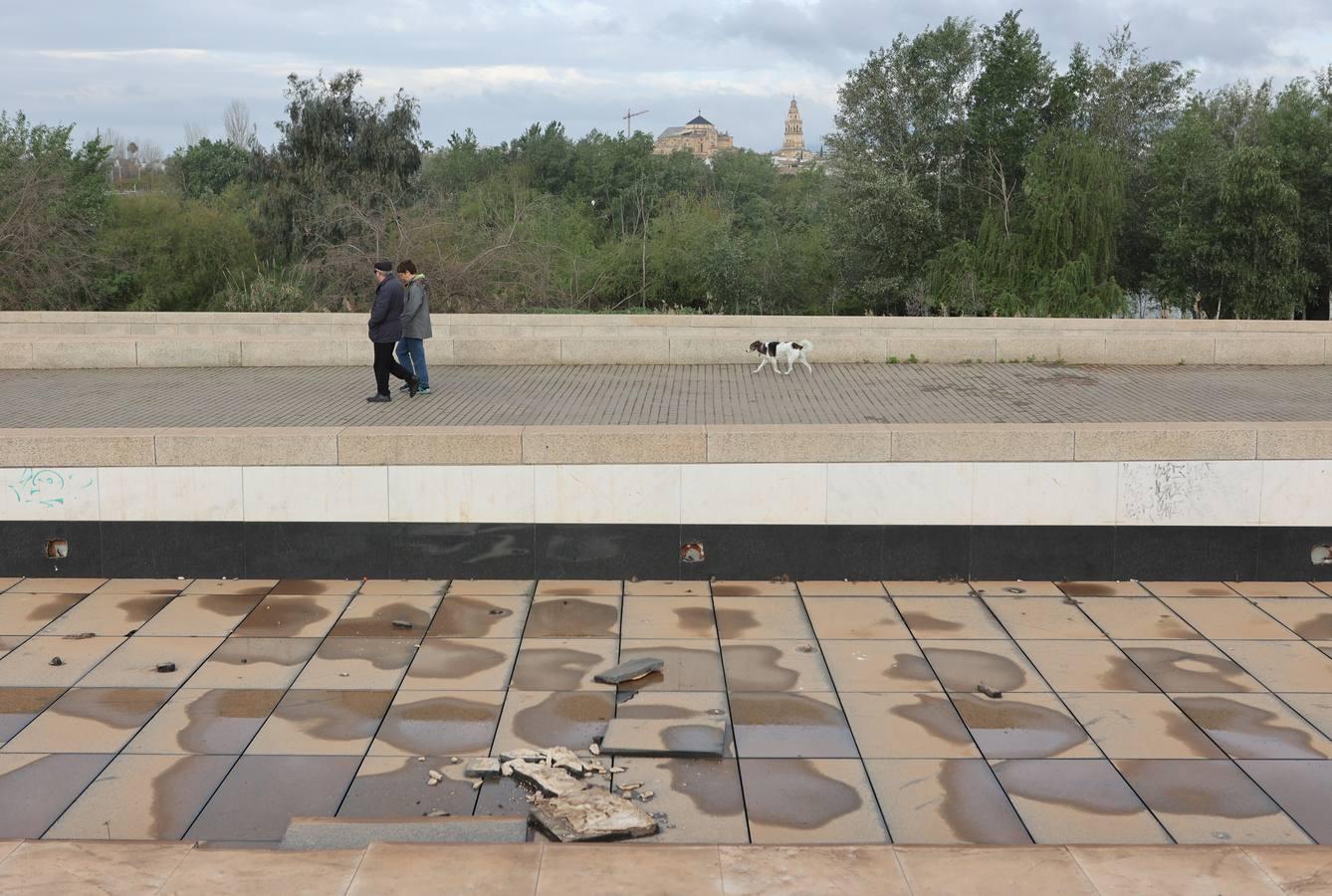 La zona del futuro tanque de tormentas de Córdoba, en imágenes
