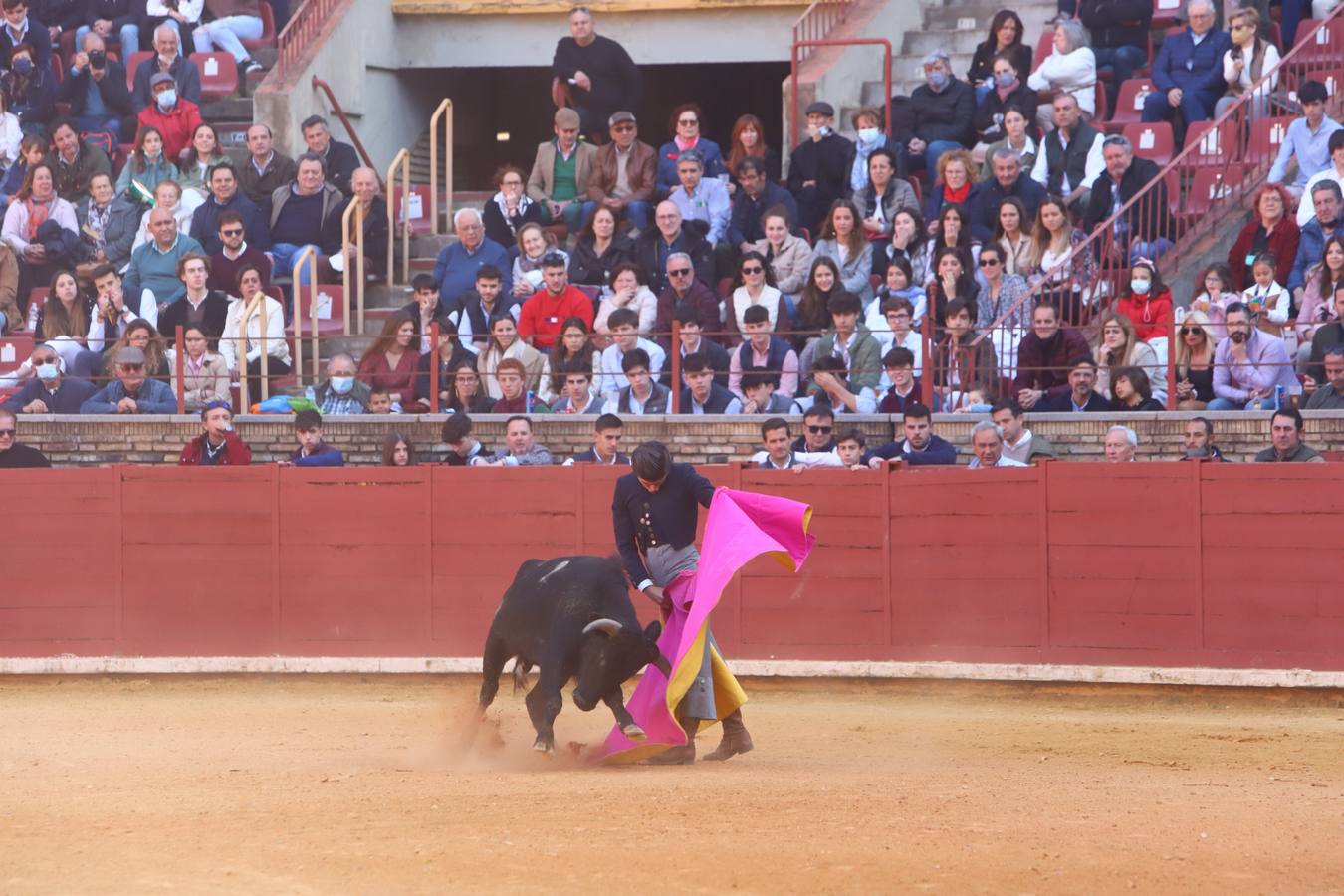 En imágenes, los nuevos valores en la becerrada del Círculo Taurino de Córdoba