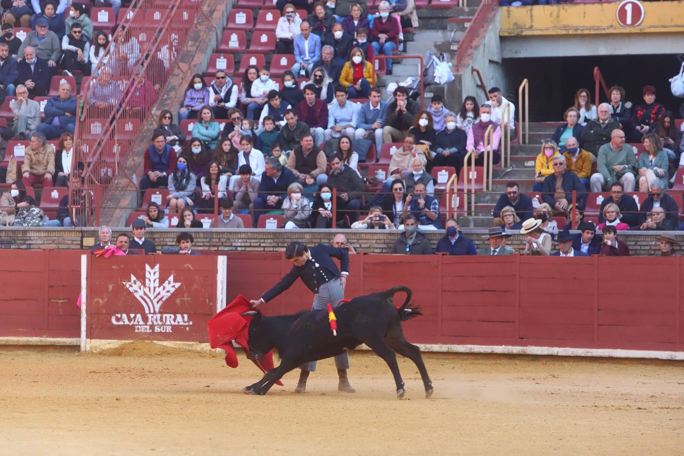 En imágenes, los nuevos valores en la becerrada del Círculo Taurino de Córdoba