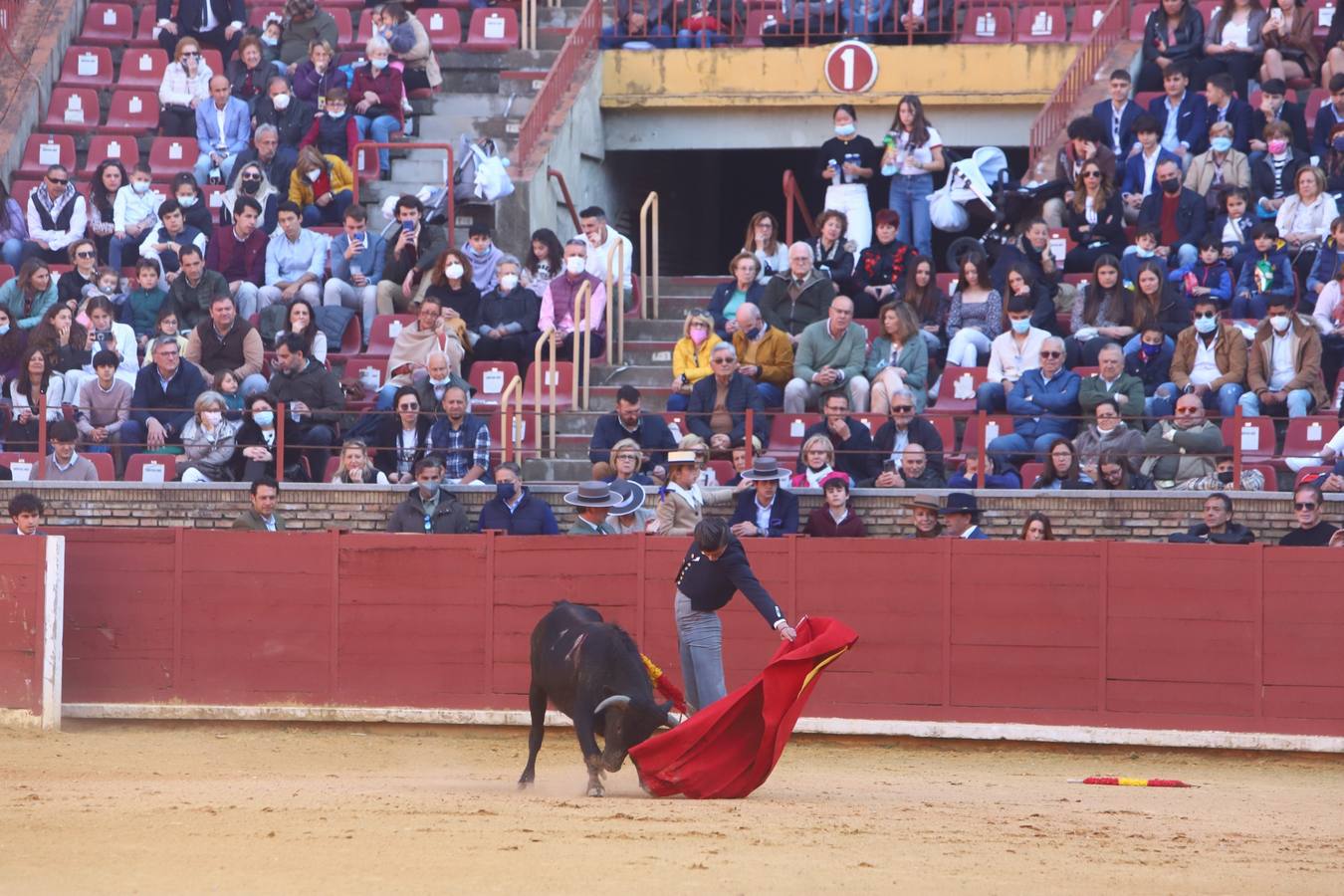 En imágenes, los nuevos valores en la becerrada del Círculo Taurino de Córdoba