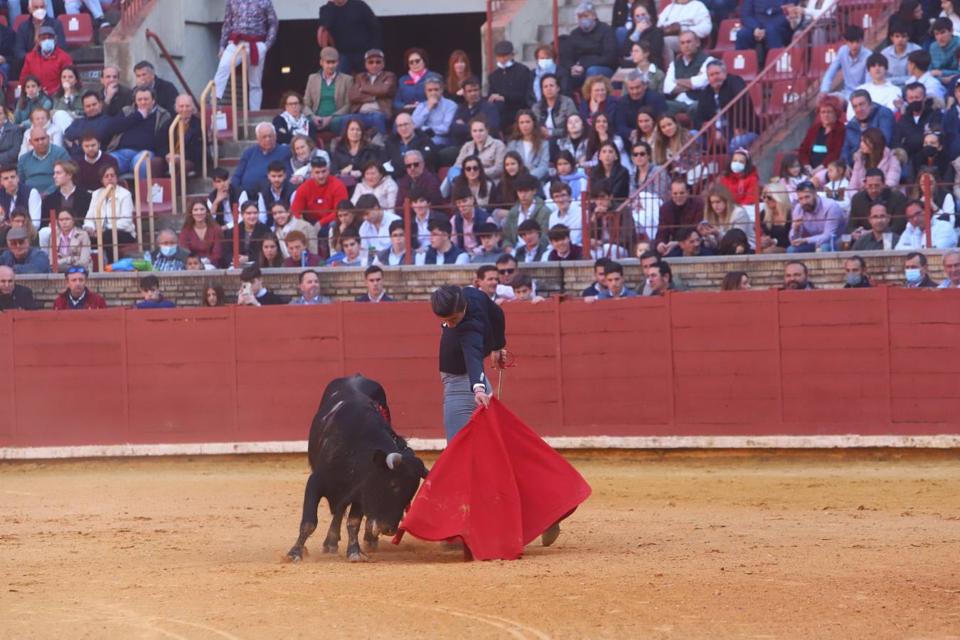 En imágenes, los nuevos valores en la becerrada del Círculo Taurino de Córdoba