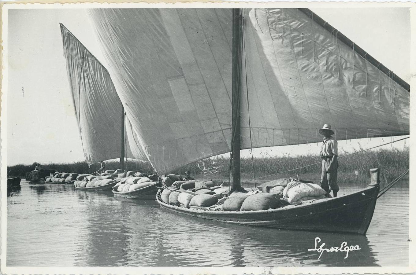 3. Albufera de Valencia (Comunidad de Valencia), 1960. Tradicional transporte del arroz ya trillado y envasado por los canales de la zona arrocera de Valencia hacia los graneros de los agricultores