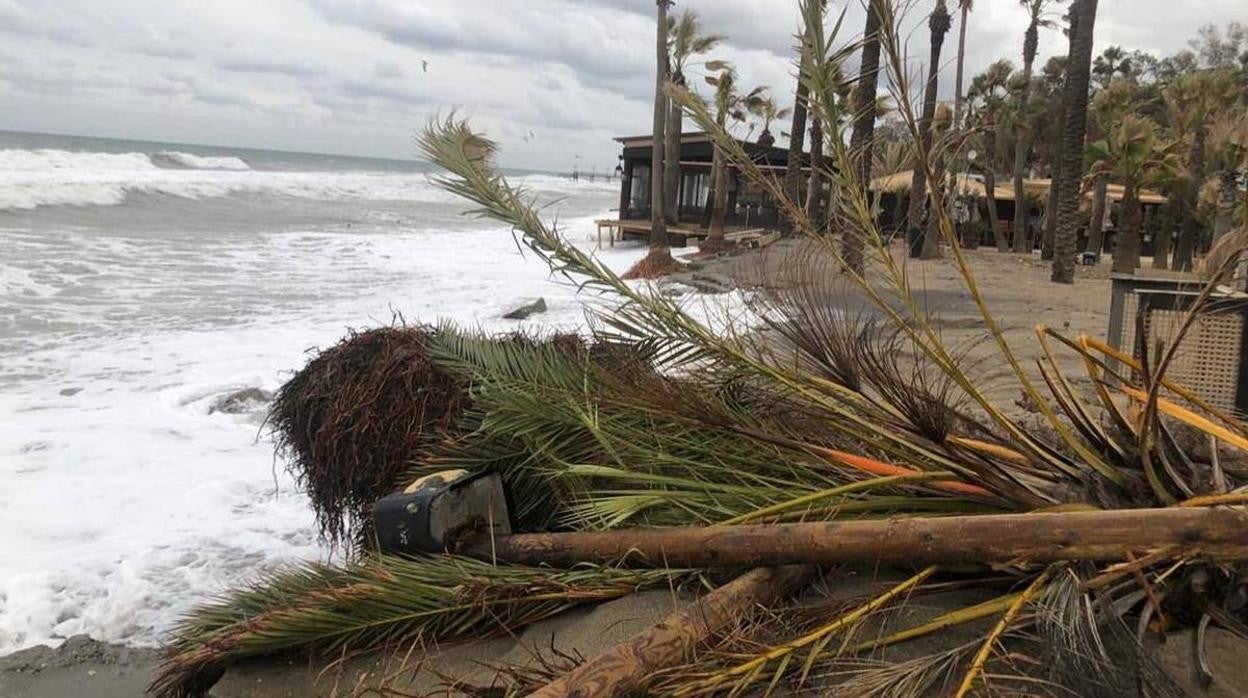 En imágenes, el destrozo de las playas de Málaga tras el último temporal