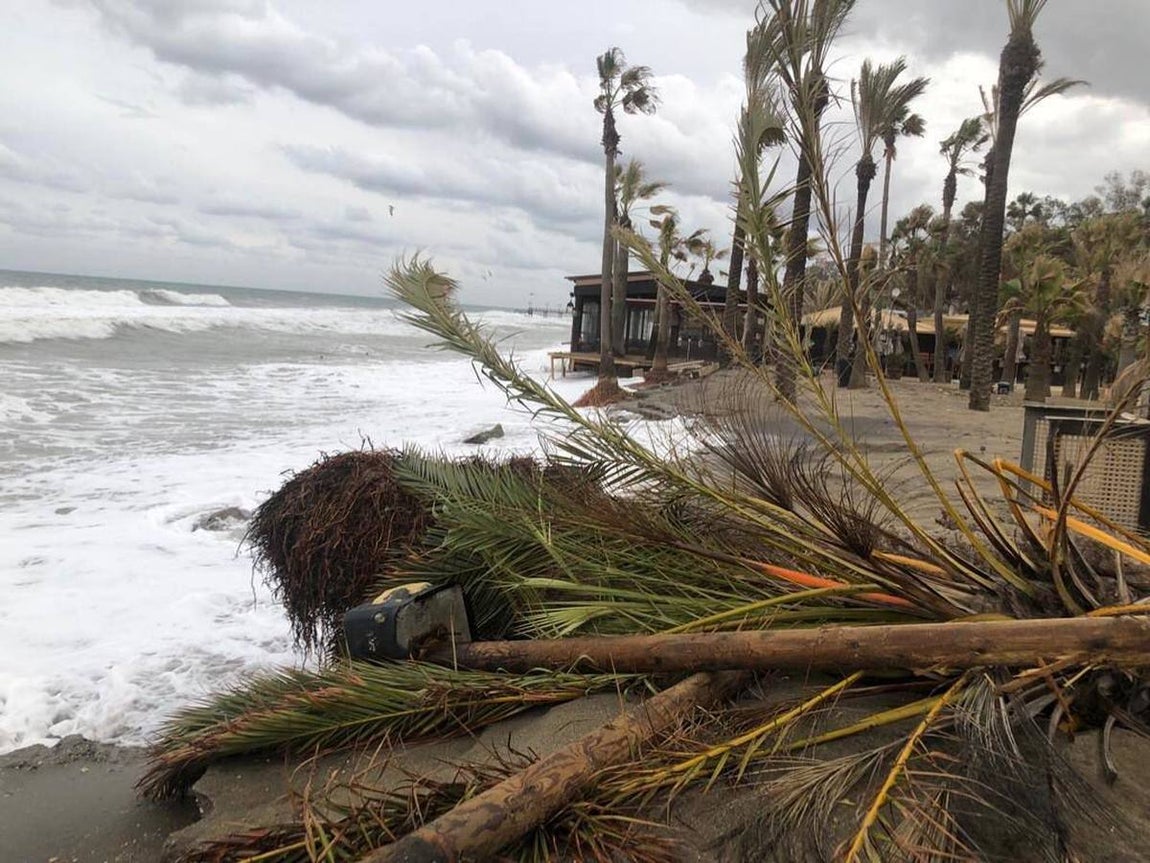En imágenes, el destrozo de las playas de Málaga tras el último temporal