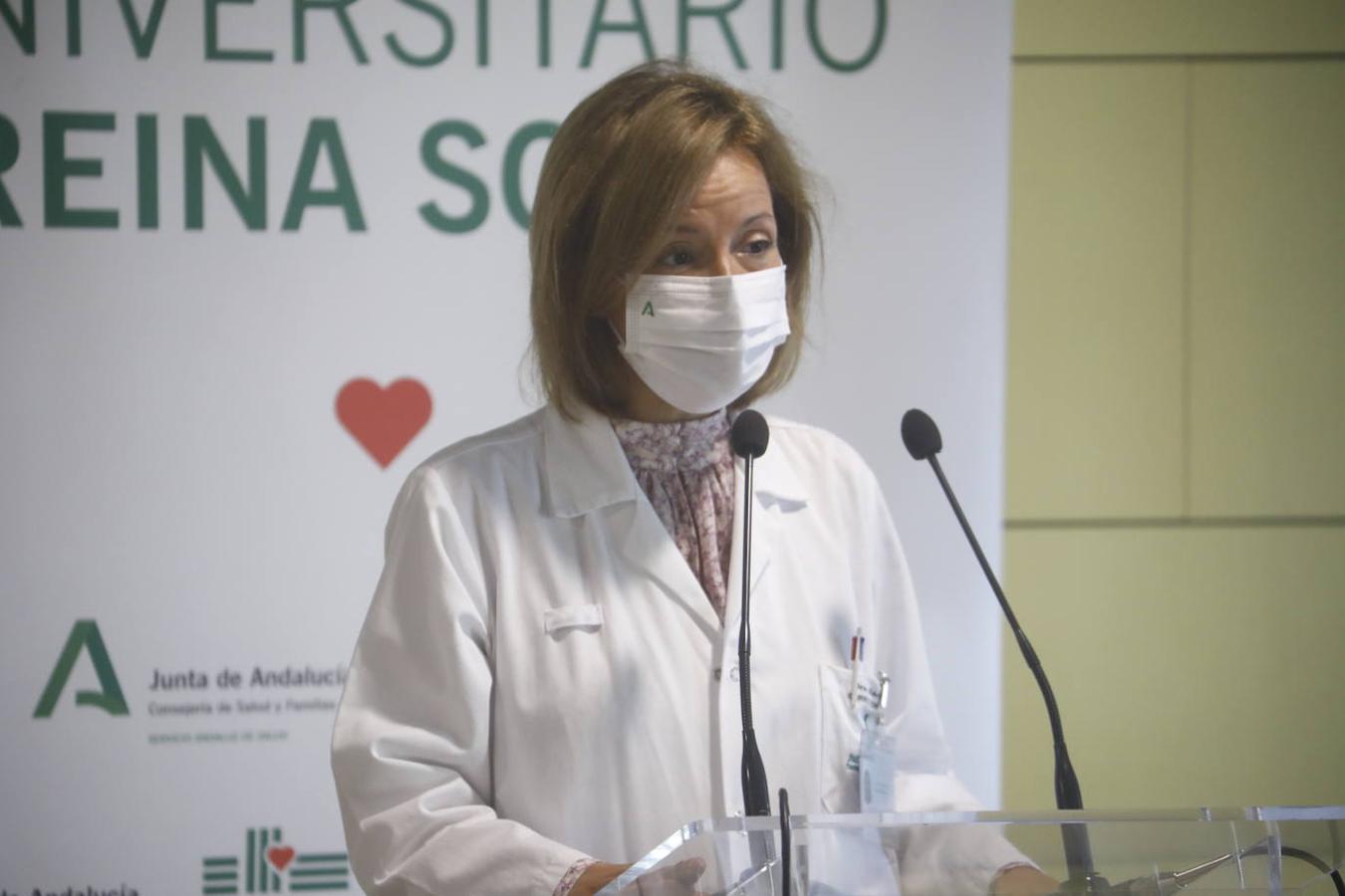 El primer trasplante renal cruzado en el Hospital Reina Sofía, en imágenes