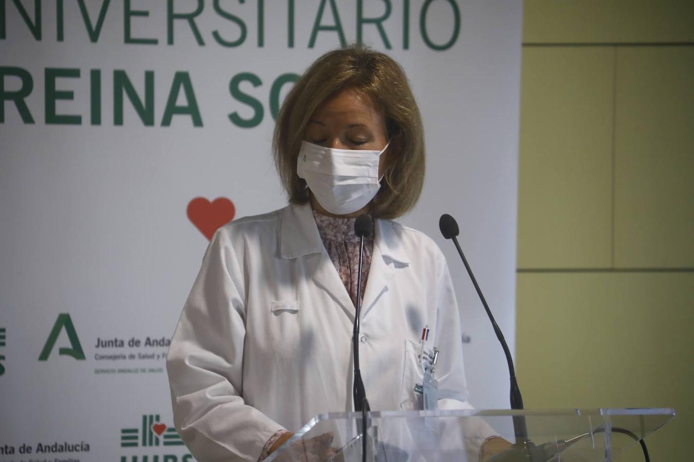 El primer trasplante renal cruzado en el Hospital Reina Sofía, en imágenes