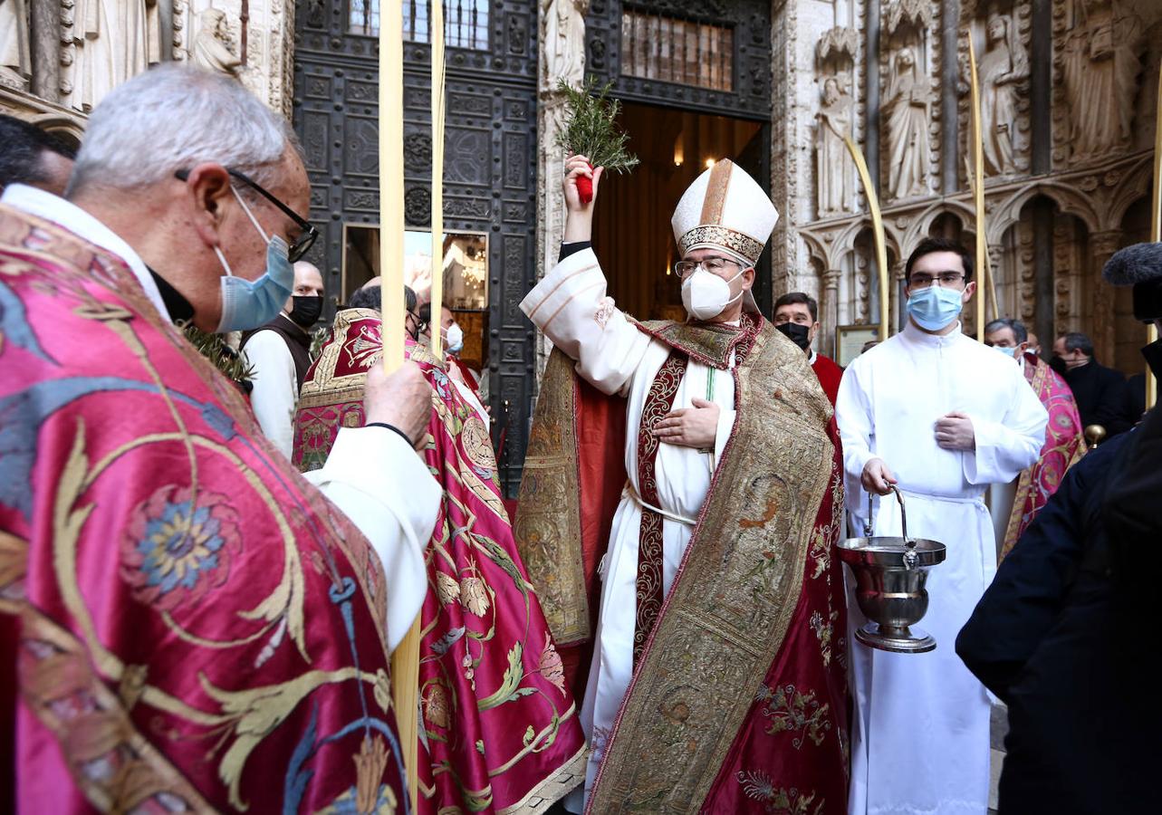 Domingo de Ramos, en imágenes