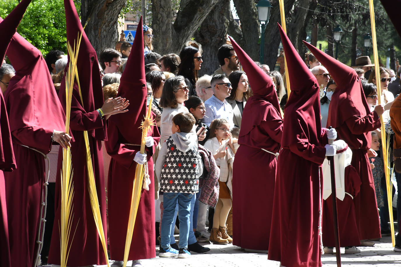 Domingo de Ramos en Talavera