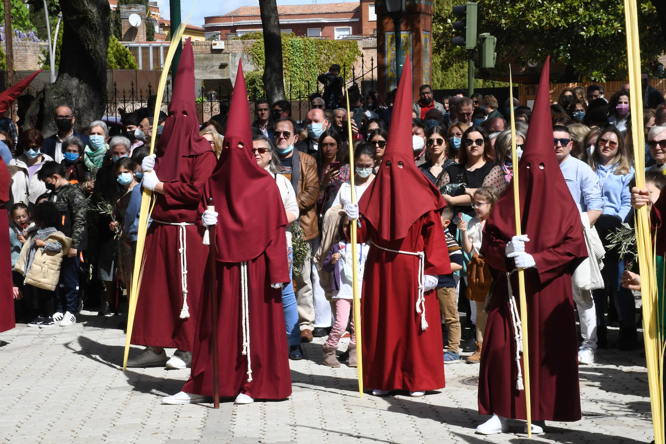 Domingo de Ramos en Talavera