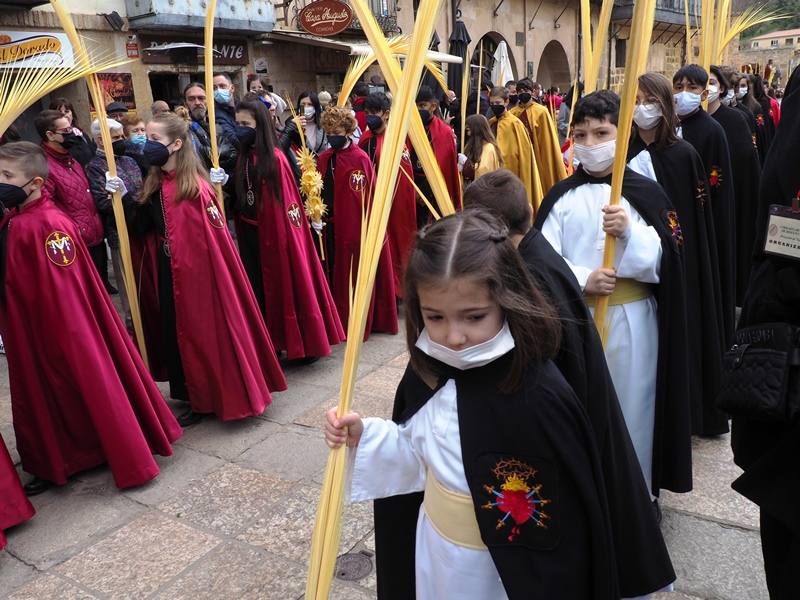 Procesión de las Palmas en Soria. 