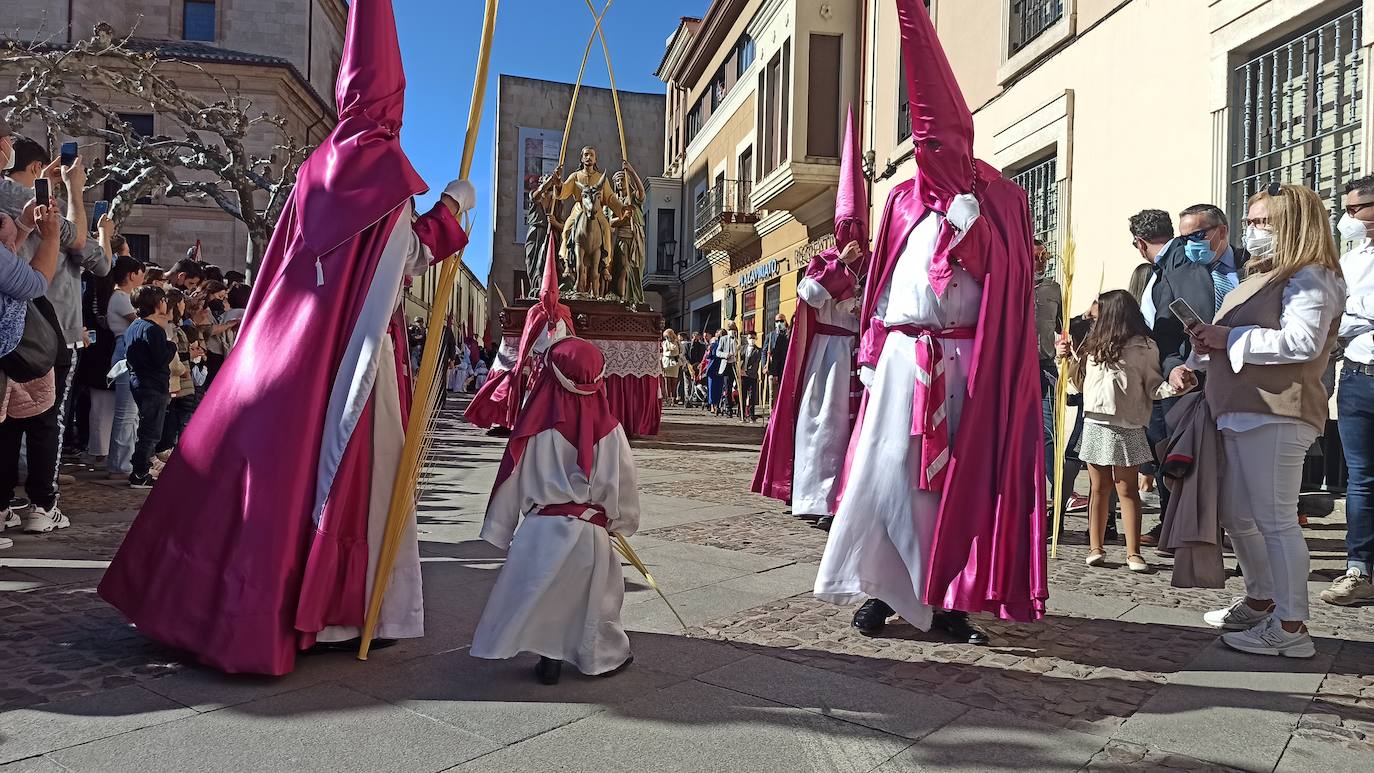 Desfile procesional del Domingo de Ramos en Zamora. 