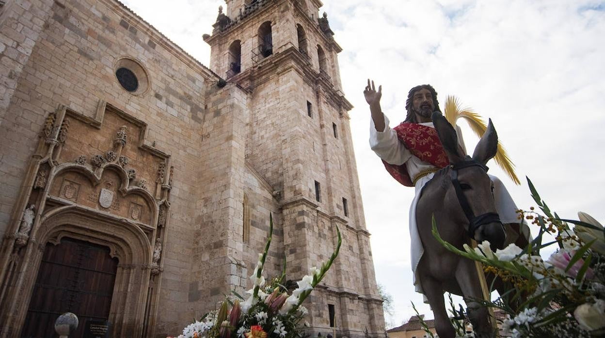 El Domingo de Ramos, en imágenes