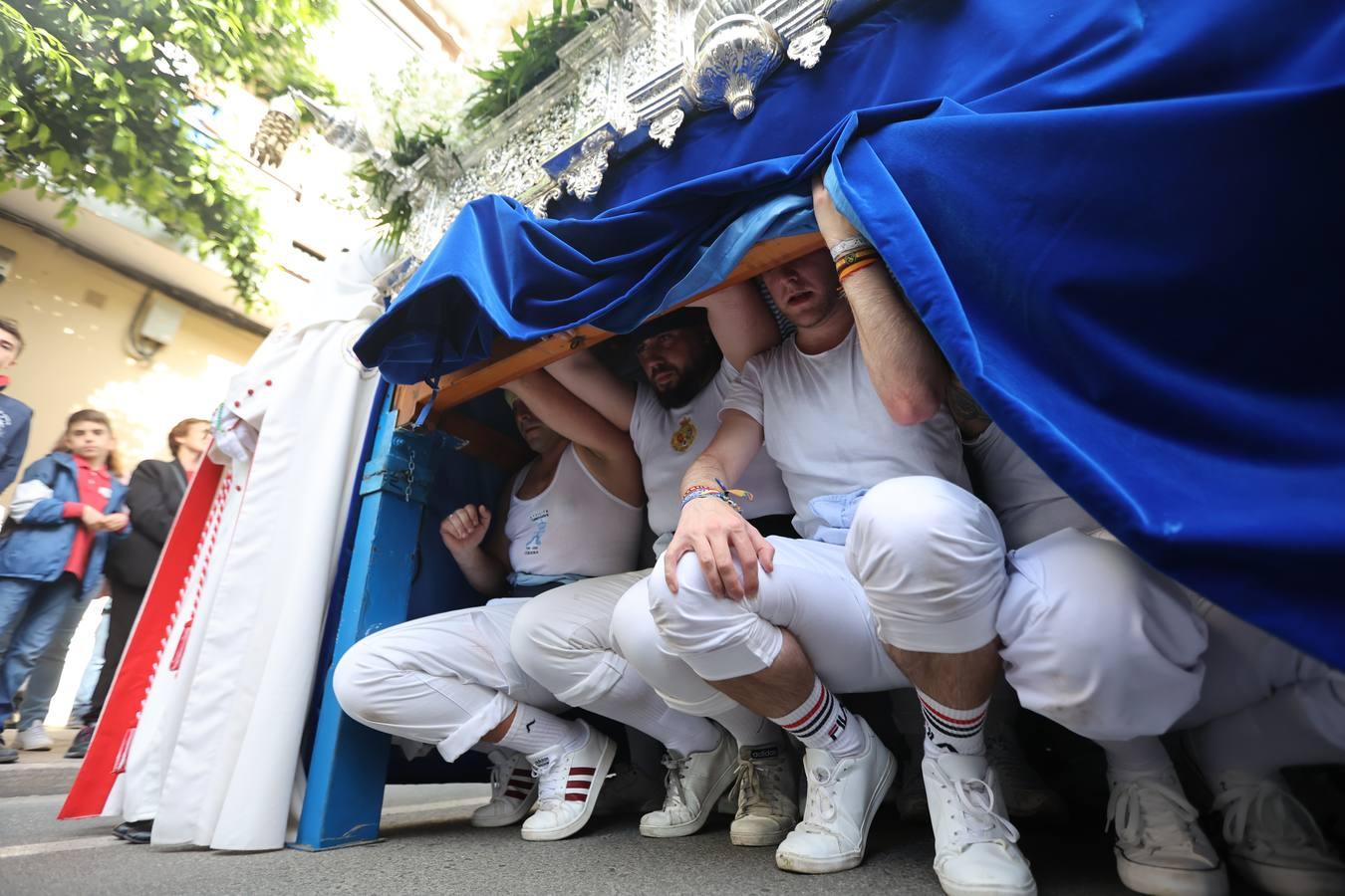 La vibrante salida de la Borriquita en el Domingo de Ramos de Córdoba, en imágenes