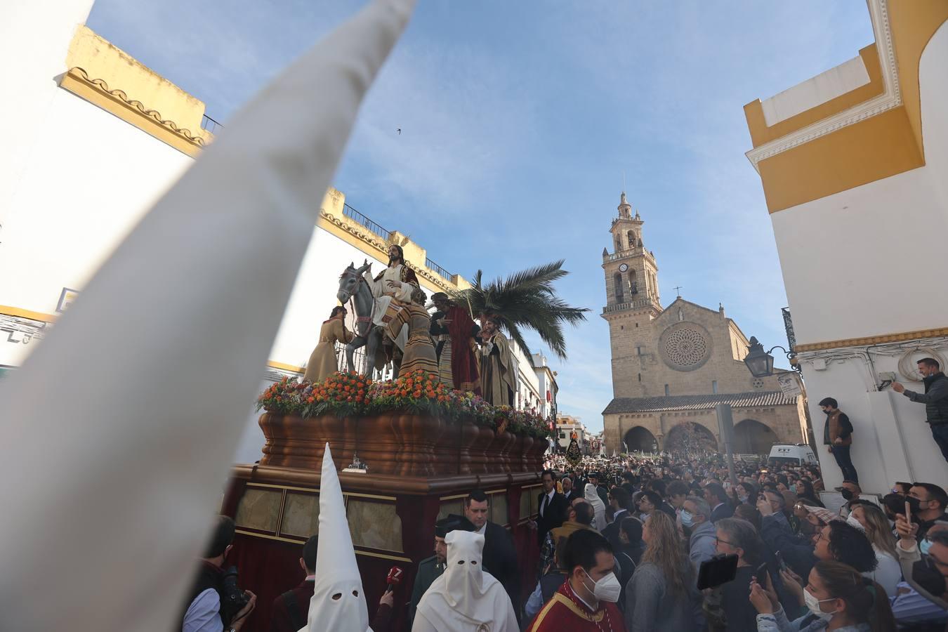 La vibrante salida de la Borriquita en el Domingo de Ramos de Córdoba, en imágenes