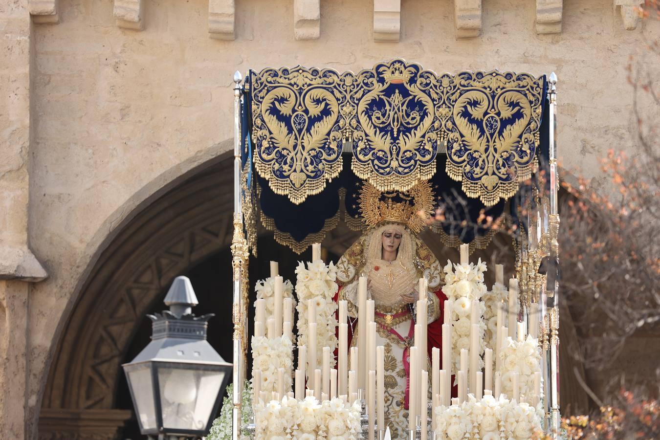 La vibrante salida de la Borriquita en el Domingo de Ramos de Córdoba, en imágenes