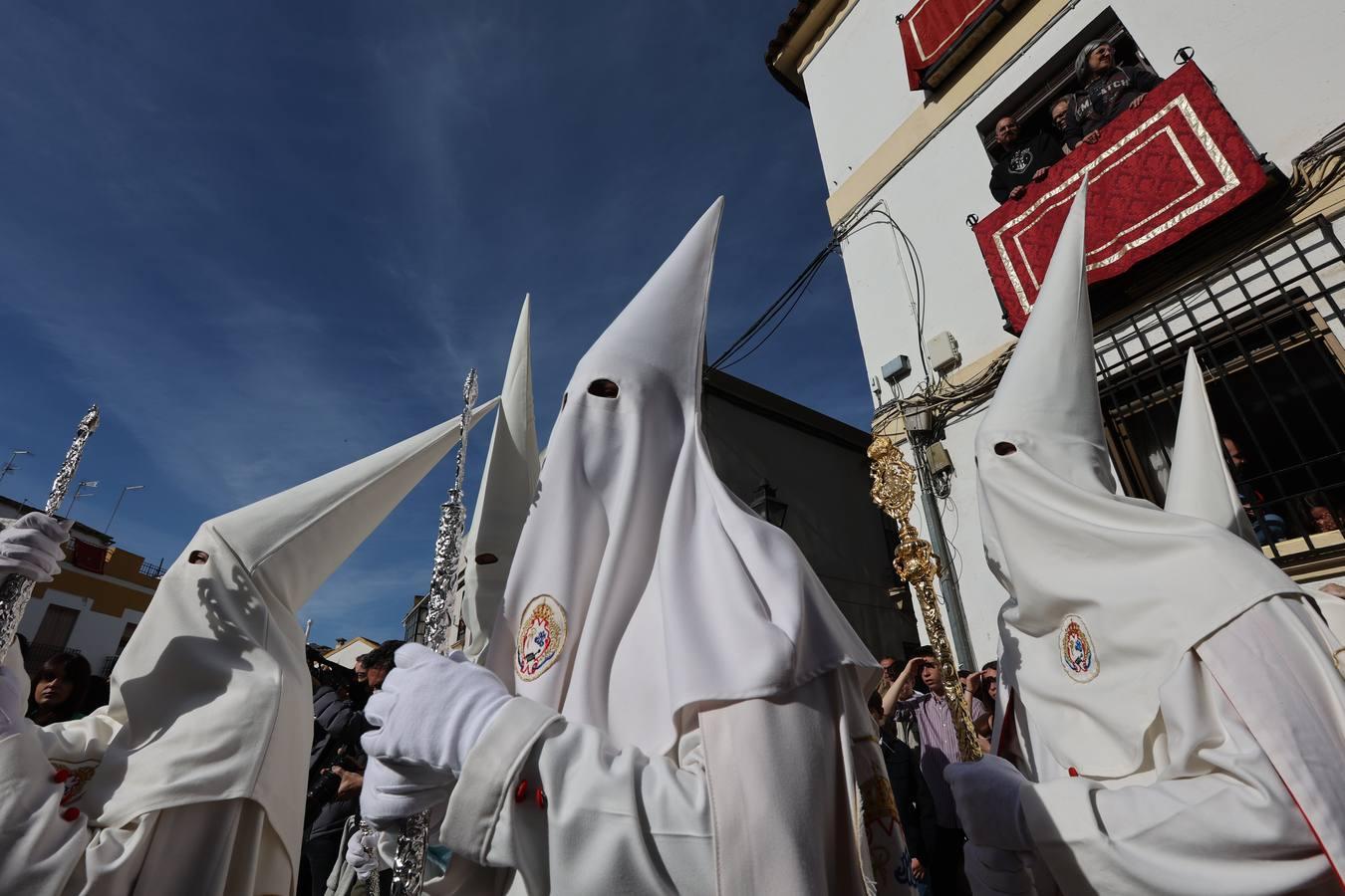 La vibrante salida de la Borriquita en el Domingo de Ramos de Córdoba, en imágenes