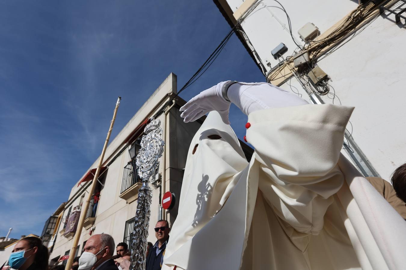 La vibrante salida de la Borriquita en el Domingo de Ramos de Córdoba, en imágenes