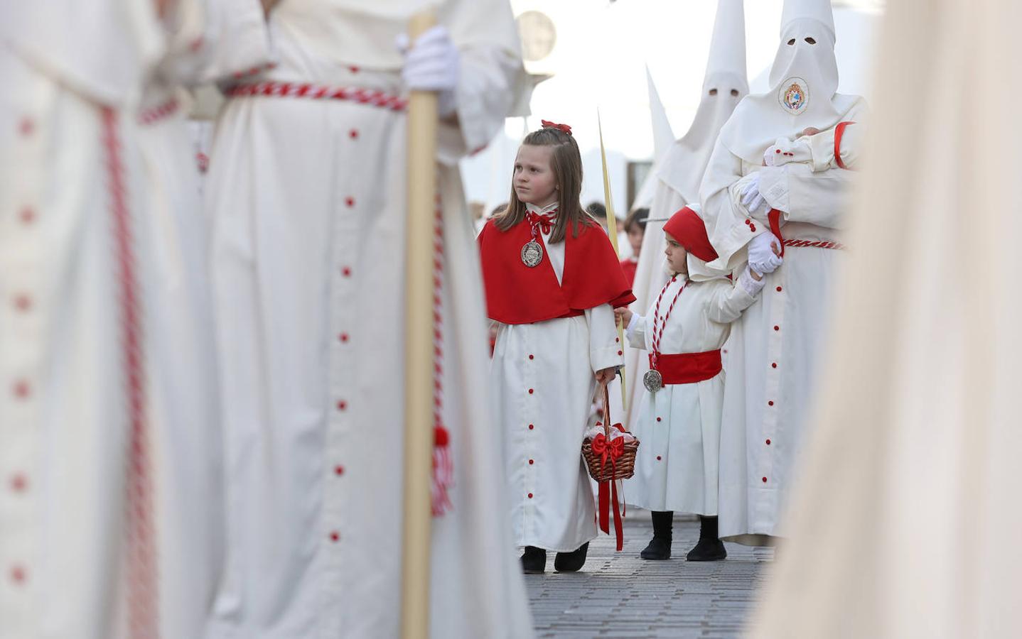 La vibrante salida de la Borriquita en el Domingo de Ramos de Córdoba, en imágenes