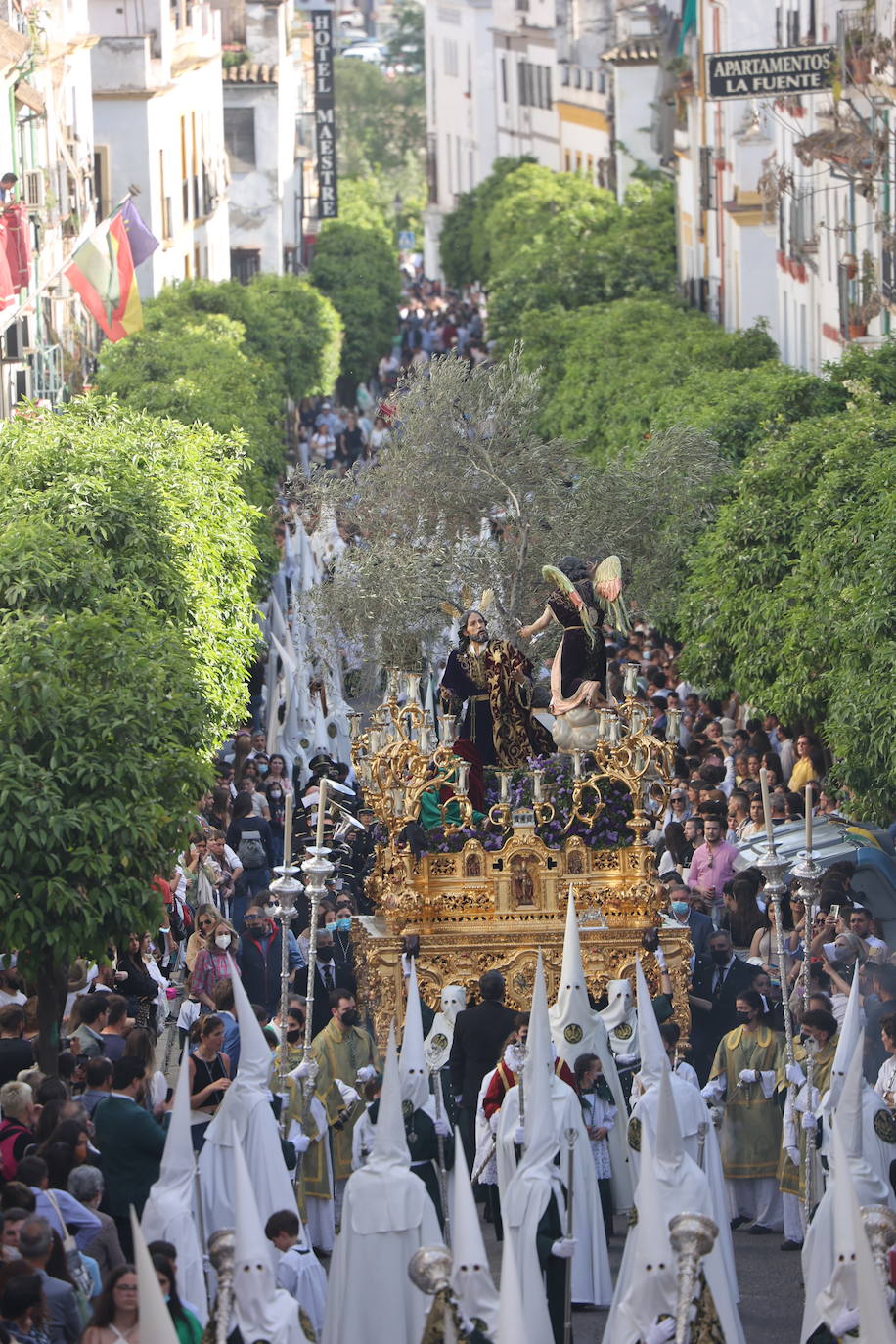 La hermandad del Huerto ilumina Córdoba el Domingo de Ramos