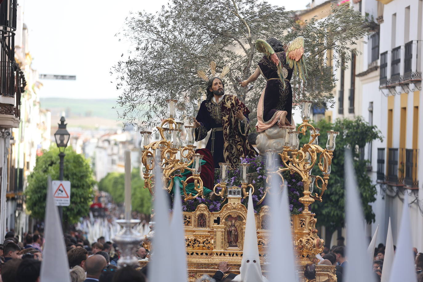 La hermandad del Huerto ilumina Córdoba el Domingo de Ramos