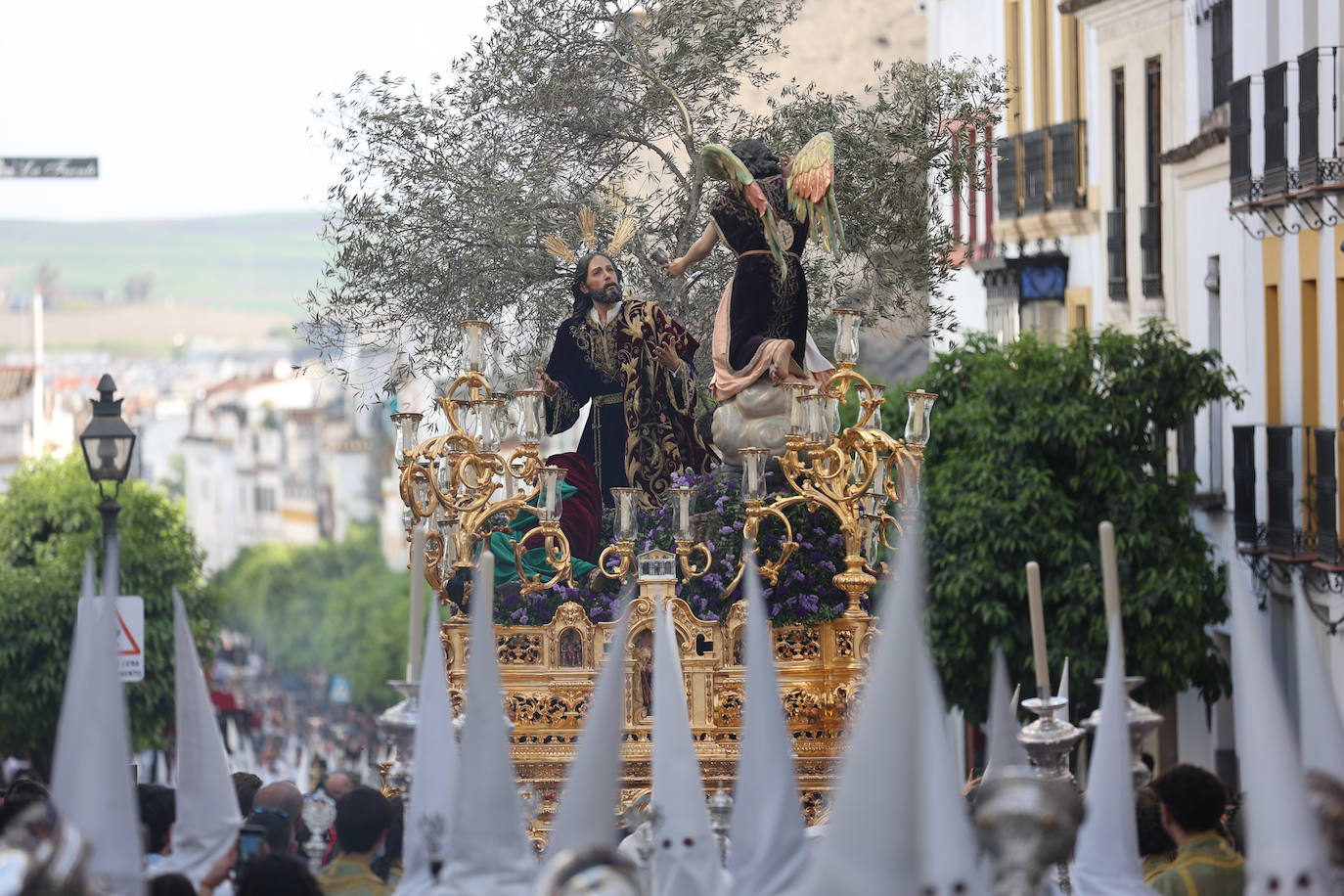 La hermandad del Huerto ilumina Córdoba el Domingo de Ramos