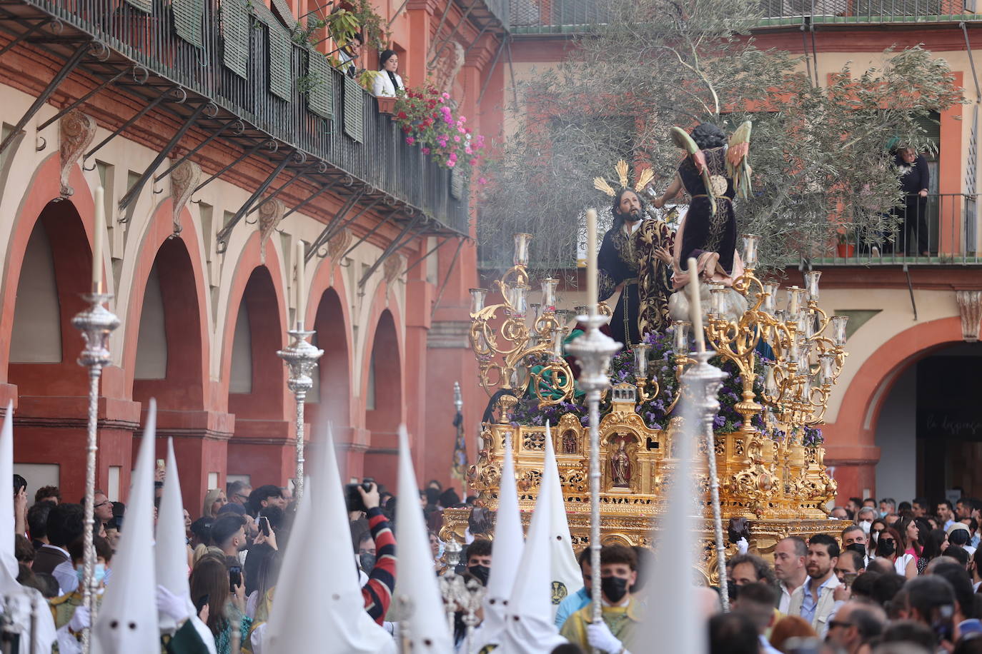 La hermandad del Huerto ilumina Córdoba el Domingo de Ramos