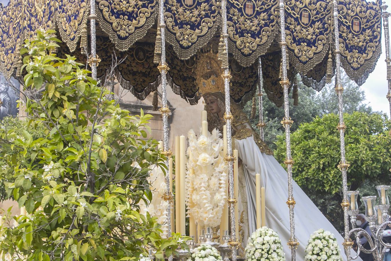 Lunes Santo | Bulla, devoción y todo un barrio tras la Merced de Córdoba, en imágenes