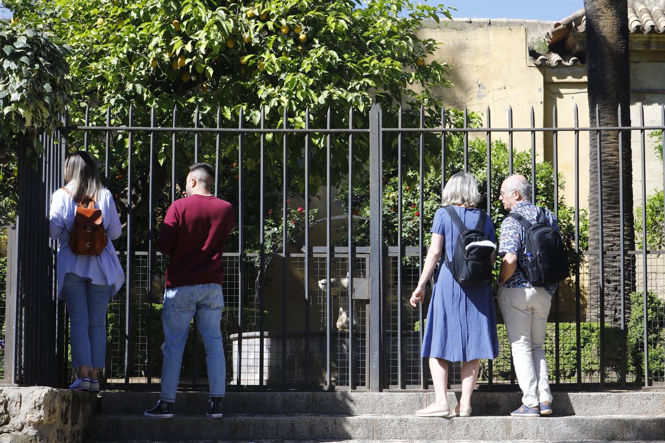 Los museos municipal de Córdoba cerrados por huelga, en imágenes