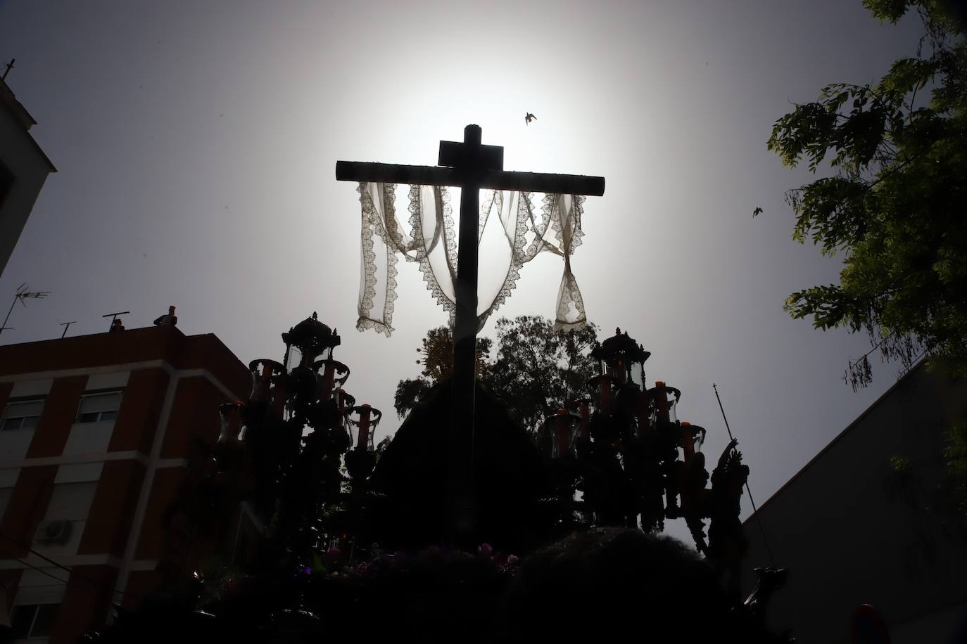 Viernes Santo | La vibrante procesión de la Soledad de Córdoba, en imágenes