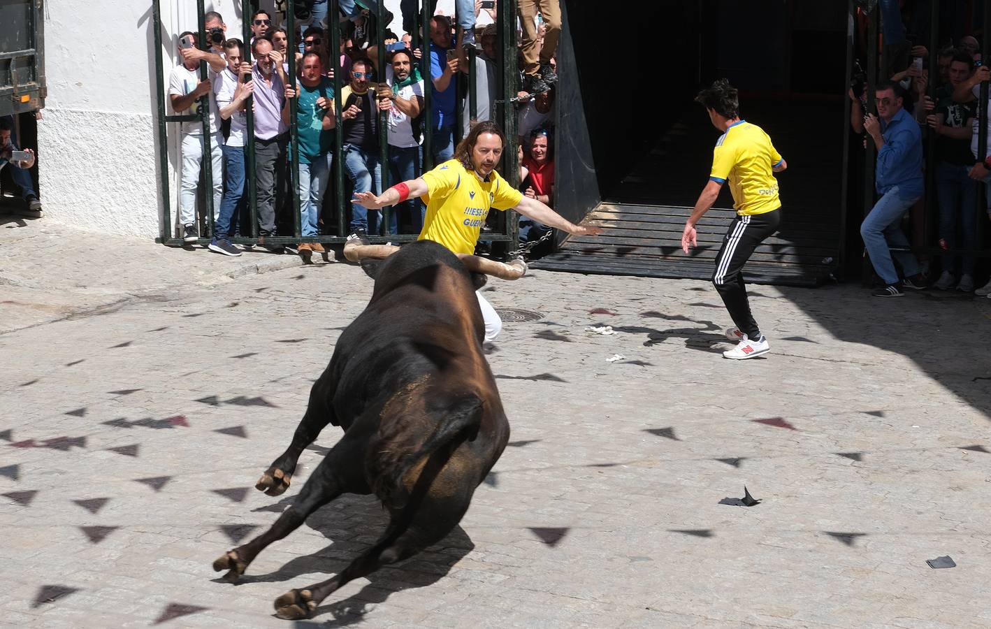 Fotos: Así ha sido la fiesta del Toro Embolao en Vejer