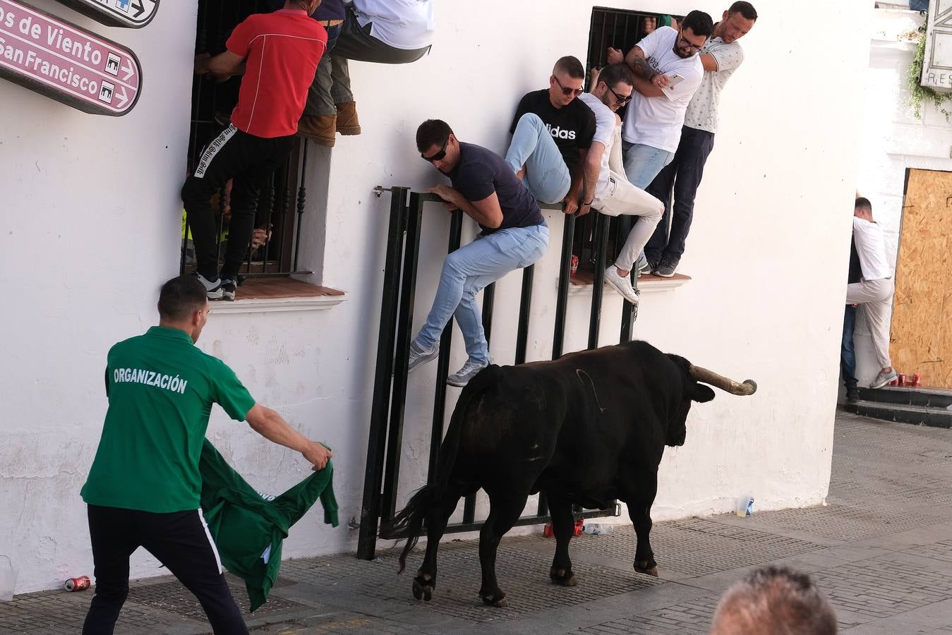 Fotos: Así ha sido la fiesta del Toro Embolao en Vejer