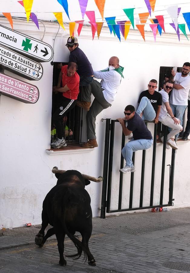 Fotos: Así ha sido la fiesta del Toro Embolao en Vejer