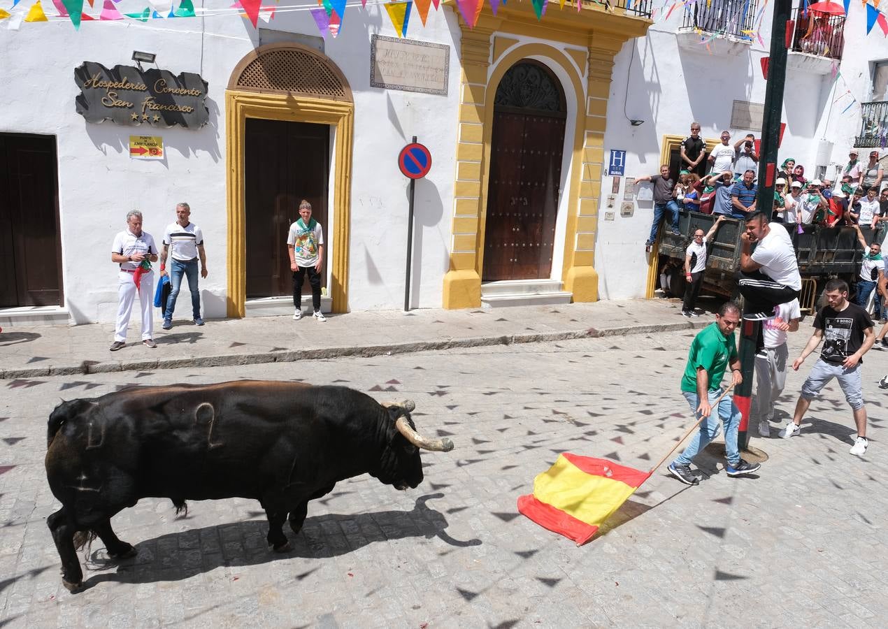 Fotos: Así ha sido la fiesta del Toro Embolao en Vejer