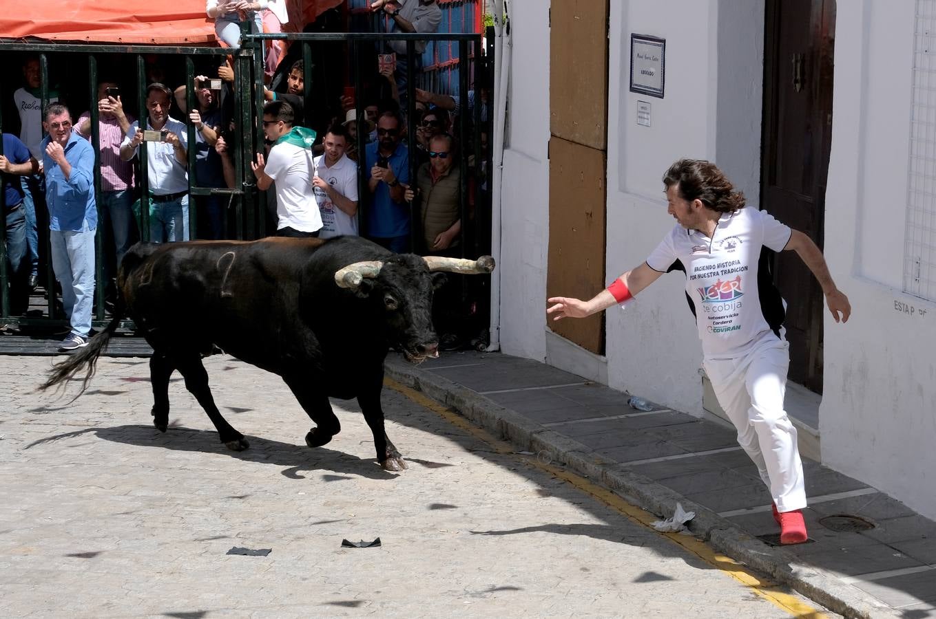 Fotos: Así ha sido la fiesta del Toro Embolao en Vejer