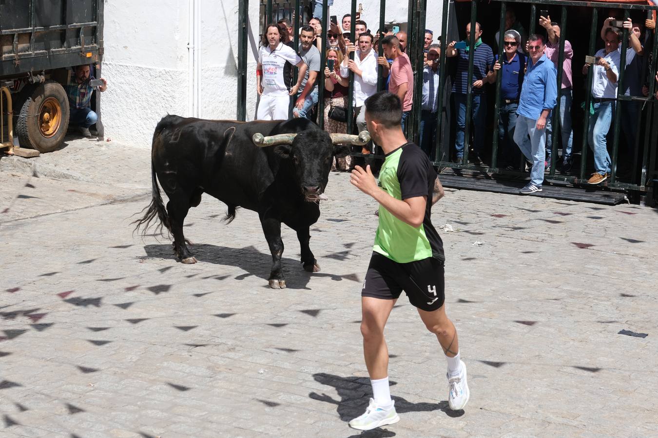 Fotos: Así ha sido la fiesta del Toro Embolao en Vejer