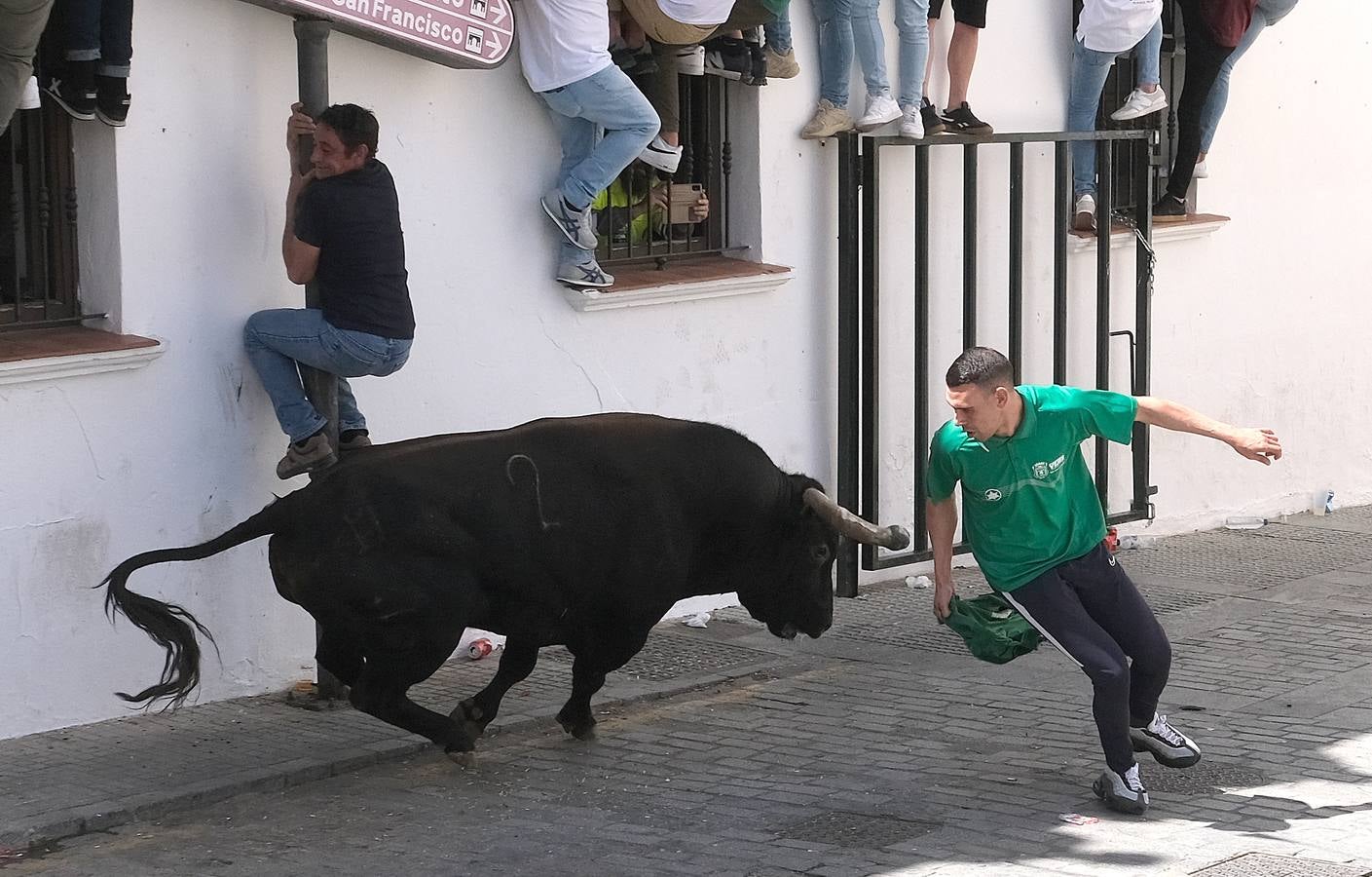 Fotos: Así ha sido la fiesta del Toro Embolao en Vejer