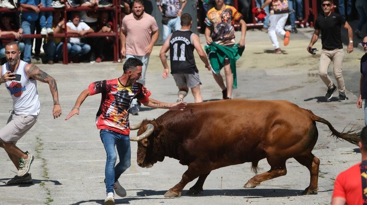 Fotos: las imágenes del Toro del Aleluya en Arcos de la Frontera