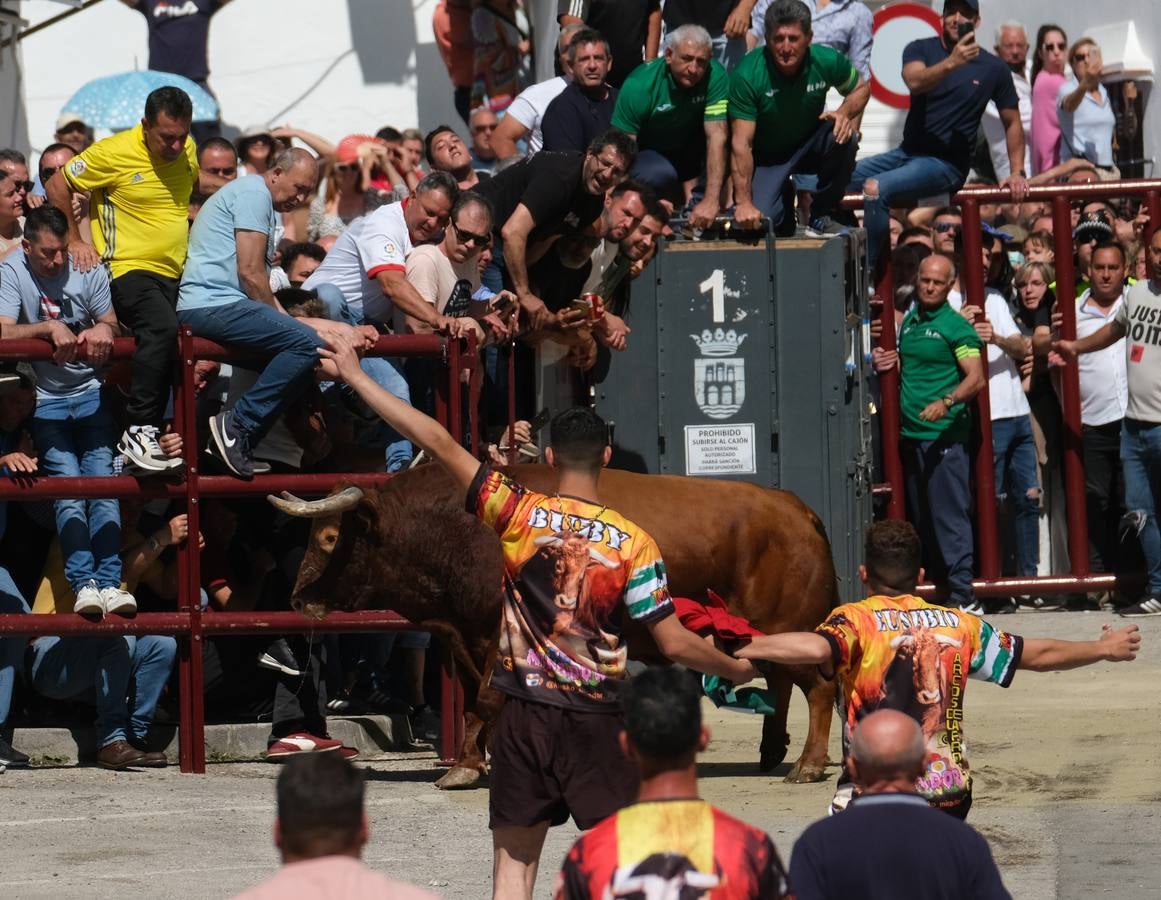 Fotos: las imágenes del Toro del Aleluya en Arcos de la Frontera