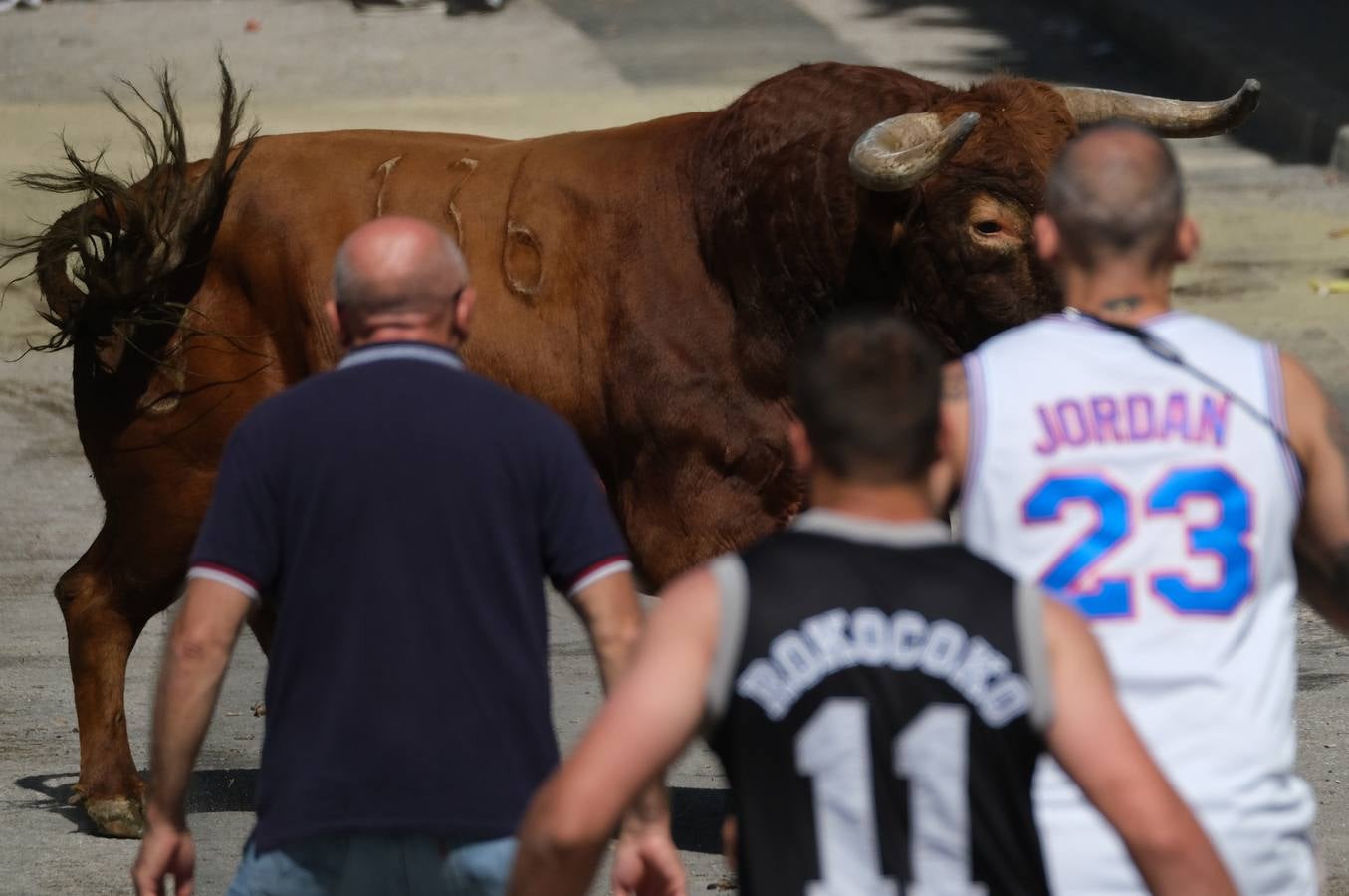 Fotos: las imágenes del Toro del Aleluya en Arcos de la Frontera