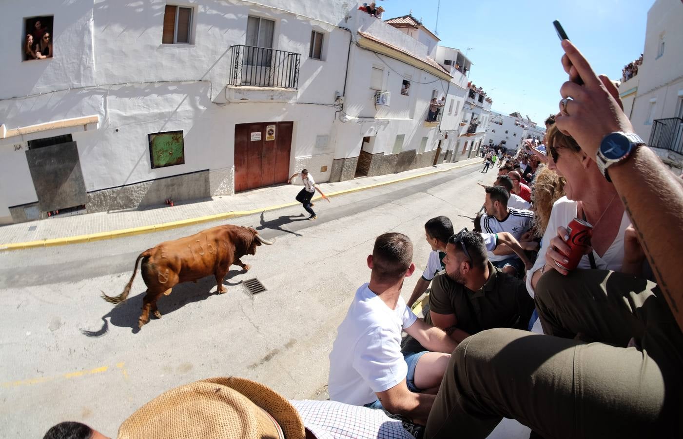 Fotos: las imágenes del Toro del Aleluya en Arcos de la Frontera