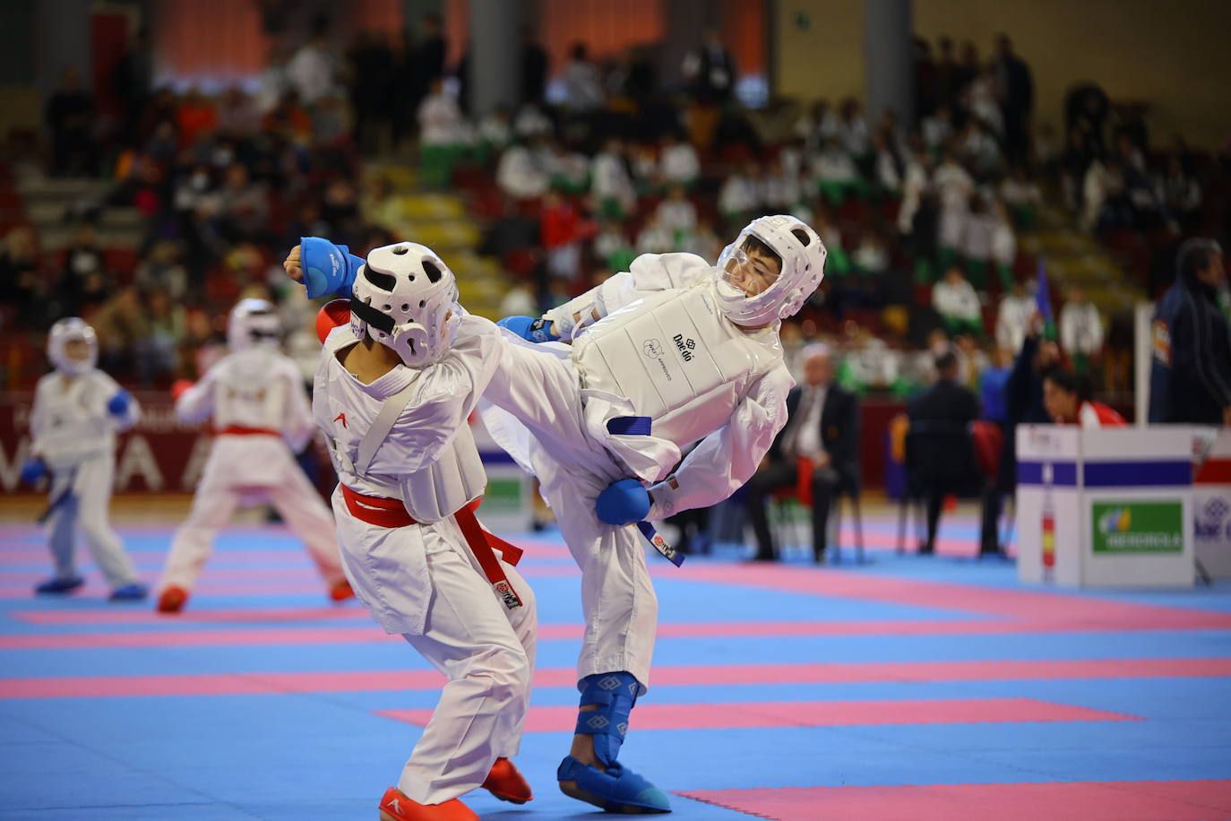 El Campeonato de España de karate en Córdoba, en imágenes