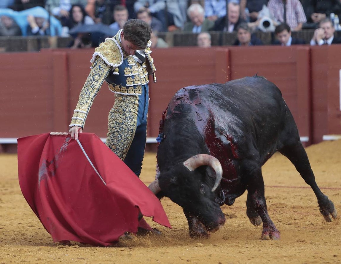 Primera corrida del ciclo continuado de 2022 en la plaza de toros de Sevilla. RAÚL DOBLADO